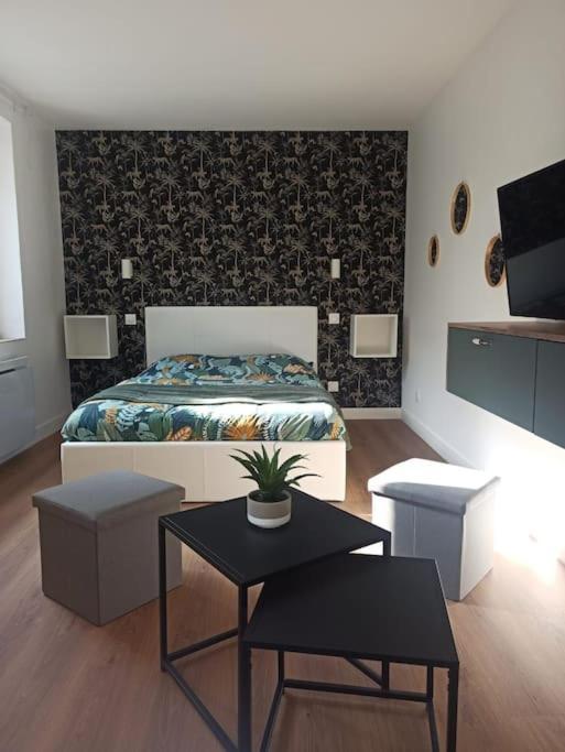 Superbe Appt Avec Cour Et Parking Gratuit A 5Min De La Cite Medievale Каркасон Екстериор снимка